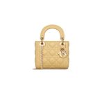 Mini Lady Dior Bag ?High-end grade?